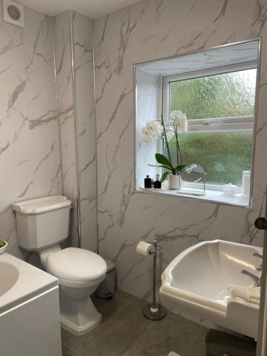 a bathroom with a toilet and a sink and a window at Old Store Cottage, Up Holland in Upholland