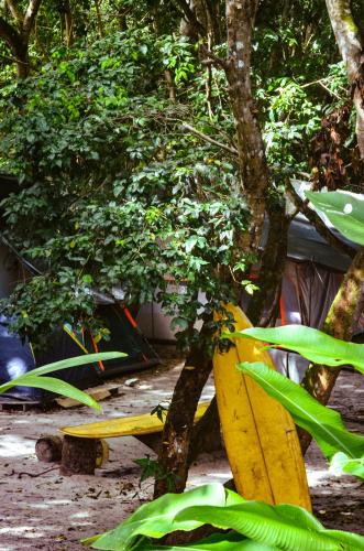 a yellow surfboard sitting next to a tree at Quarto Privativo Casal - Banheiro Compartilhado in Pipa