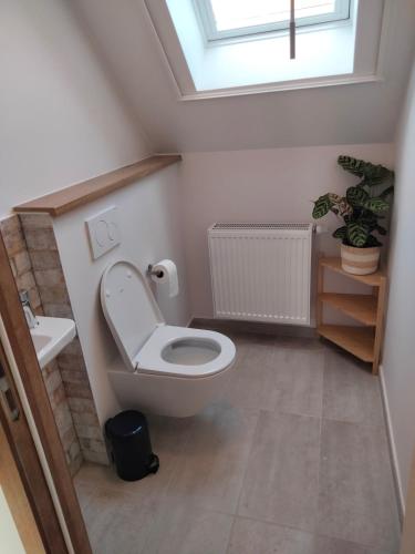 a bathroom with a toilet and a sink and a window at Les Campanes - Gite 8 personnes avec piscine intérieure et sauna 