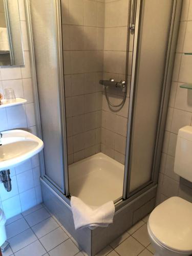 a bathroom with a shower with a toilet and a sink at A & M Apartments in Hildesheim
