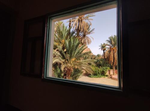 a window with a view of a palm tree at Le LAC Auberge Camping Todra in Tinerhir