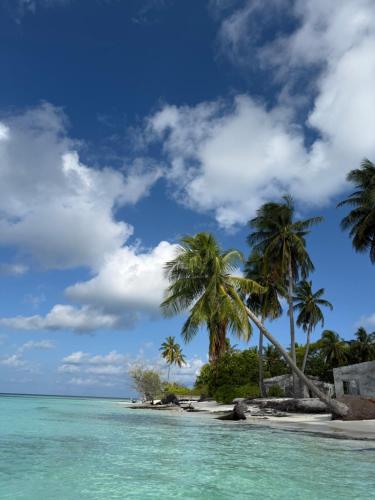 Příroda nedaleko penzionu