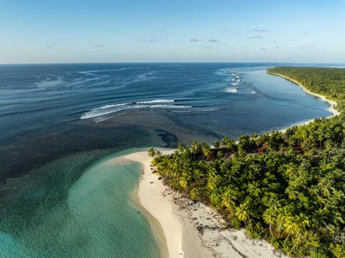 Příroda nedaleko penzionu