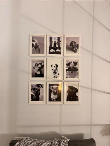 a wall with four pictures of dogs on a wall at Aura Abode with private garden in Karjat