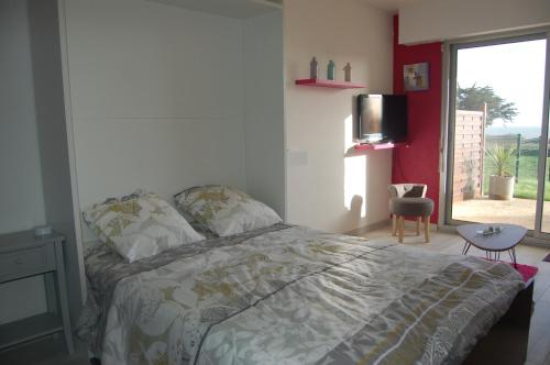 a bedroom with a bed and a tv and a window at Appartement RÉSIDENCE DE LA GRÈVE in Saint-Pierre-Quiberon