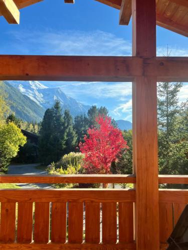 Chalet Isabelle Mountain lodge 5 stars 6 bedroom en suite sauna spa inox photo 13