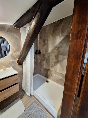 a bathroom with a shower and a sink at Szmer Olzy Apartament in Istebna
