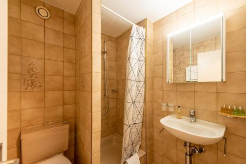 un bagno con lavandino, WC e doccia di Zermatt - well located and equipped studio a Zermatt