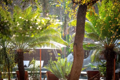 Ein Garten an der Unterkunft Karongwe- Shiduli Safari Lodge
