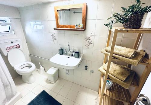 a small bathroom with a toilet and a sink at Vasiliki Guest House in Kalamata