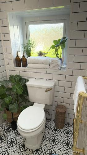 a bathroom with a white toilet and a window at The Cottage @ 59 in Colmonell