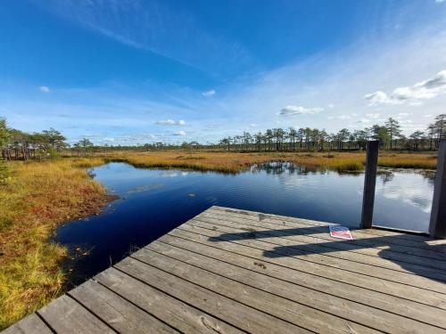 a wooden dock in the middle of a lake at Pauna Puhkemaja in Tori
