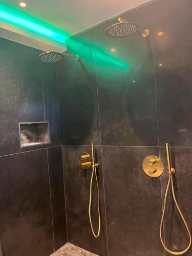 ein Badezimmer mit einer Dusche mit Glaswand in der Unterkunft La parenthèse dorée in Les-Pennes-Mirabeau