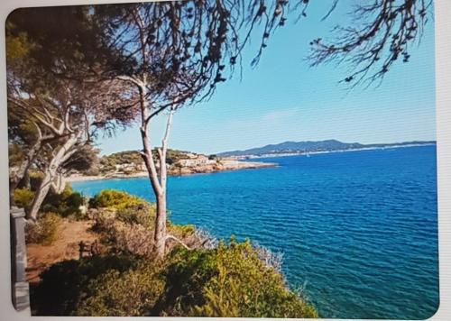 a view of the ocean from a hill with trees at Le Baou fully renovated 2025 in Sanary-sur-Mer