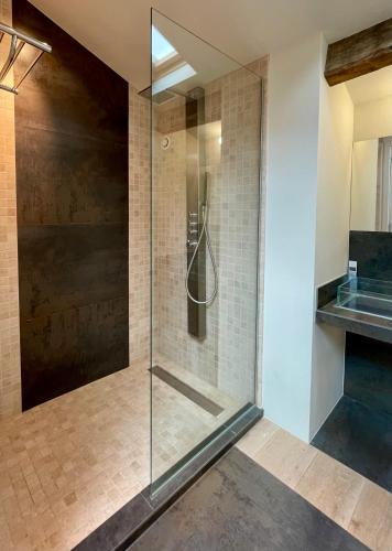 a shower with a glass door in a bathroom at La Sénéchalerie in Chasselay