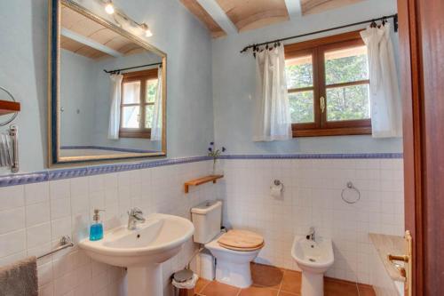 a bathroom with a sink and a toilet and a mirror at Finca Moscari in Madrid
