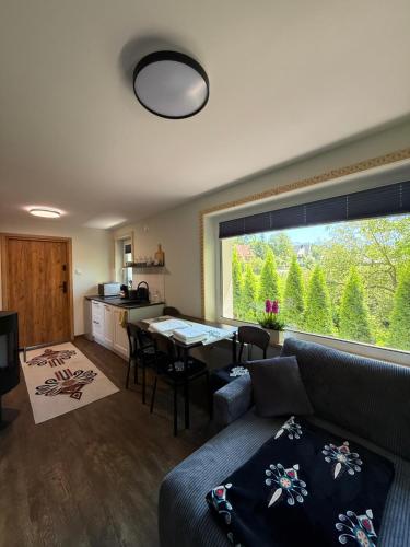 Гостиная зона в Piękne apartamenty z widokiem na góry ,Sauna, kominek, darmowy parking , 5km do Zakopanego