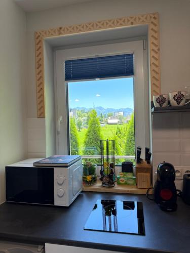 Кухня или мини-кухня в Piękne apartamenty z widokiem na góry ,Sauna, kominek, darmowy parking , 5km do Zakopanego
