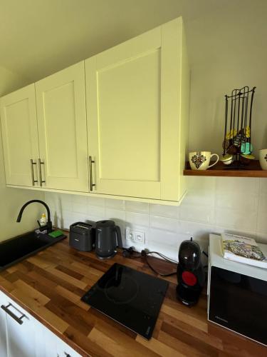 Кухня или мини-кухня в Piękne apartamenty z widokiem na góry ,Sauna, kominek, darmowy parking , 5km do Zakopanego
