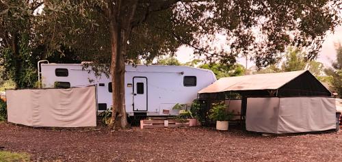 a white trailer with a tent next to a tree at Shroom life farm Chicken shack in North Fort Myers