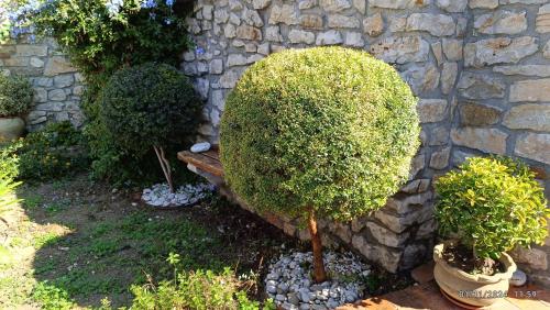 a stone wall with two trees and a bench at Villetta in Centro Storico in Caccamo