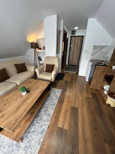 a living room with a couch and a wooden floor at Vila Simona in Mavrovo