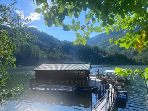a house on a dock on a lake at Ferienhaus LAGUM in Rudo
