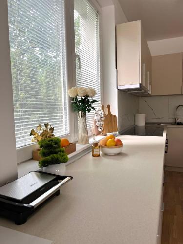 a kitchen with a counter with a tablet on it at Talia in Niš