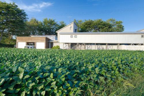 a field of crops in front of a barn at Rental House Towada in Towada