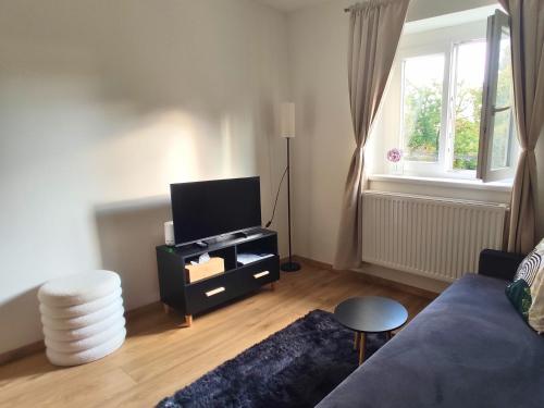 a living room with a couch and a tv at Apartmán Palackého sady - pohoda v srdci města in Písek