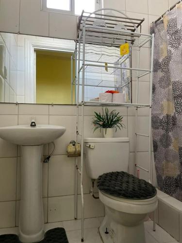a bathroom with a toilet and a sink at Emerald Apartments INC in Georgetown