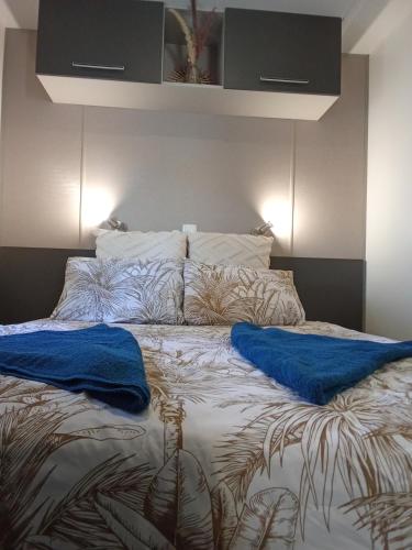 Cosy Mobile Home 6 personnes! direct plage
