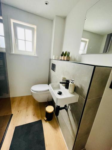 a bathroom with a toilet and a sink at Fundis Apartment am Schloss in Bad Harzburg