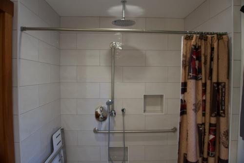 a shower in a bathroom with a shower curtain at Tamarack Lodge Motel in Tahoe City