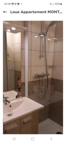 a bathroom with a shower and a sink at Appartement à Montchavin in La Plagne Tarentaise