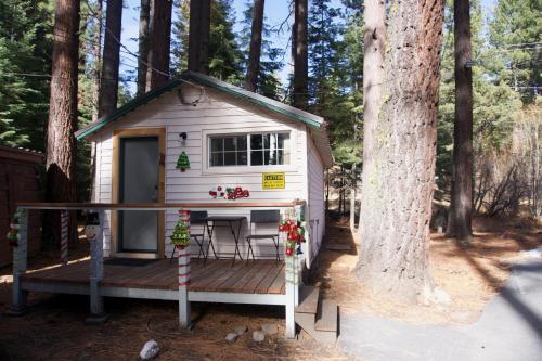 a tiny house in the woods next to a tree at Tamarack Lodge Motel in Tahoe City