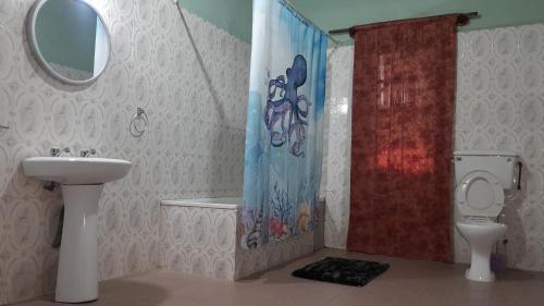 a bathroom with a sink and a shower and a toilet at Afonta's Greenhouse Retreat in Daranka