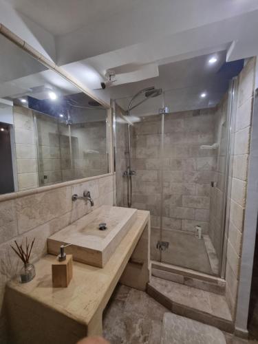 a bathroom with a sink and a shower at La Forge in Aubagne