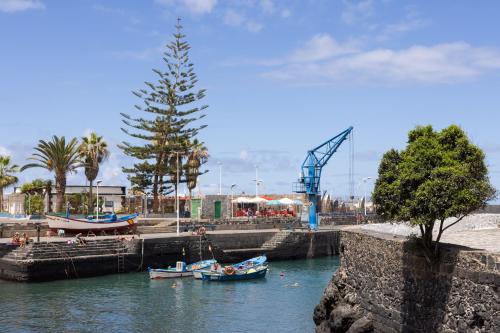 two boats are docked in a river with a tree at Estudio céntrico La Marina in Puerto de la Cruz