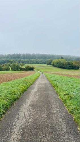 a dirt road in the middle of a field at Luxury Apartment in Böblingen in Böblingen