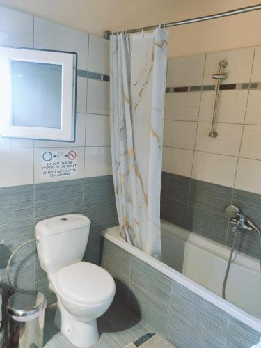 a bathroom with a toilet and a shower and a tub at Sea Side Apartment Plataria in Plataria