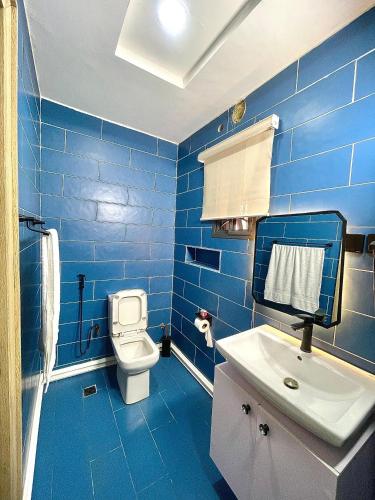 a blue bathroom with a toilet and a sink at The Elegans Apartments in Rubuchi