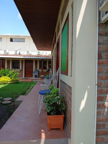 a patio with chairs and a plant on a house at Hostal Don Miguel in Rivas