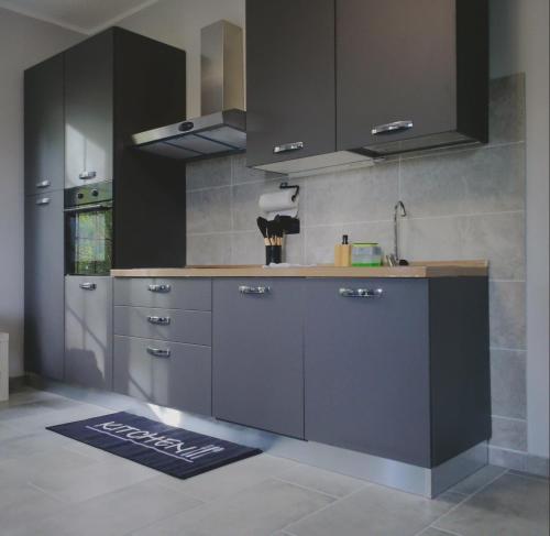 a kitchen with grey cabinets and a sink at Apartment Narzole LanghExplorer in Narzole