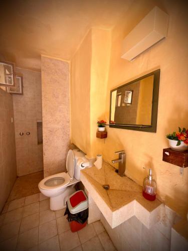 a bathroom with a toilet and a sink and a mirror at Dana Gardens Hotel in Dana