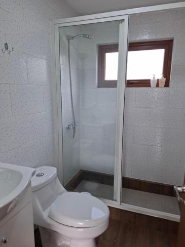 a white bathroom with a toilet and a shower at Cabañas Horizonte Sur in Coihaique
