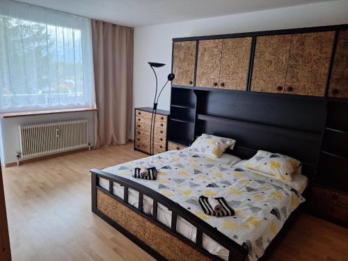 Dachstein Apartments - Bad Mitterndorf