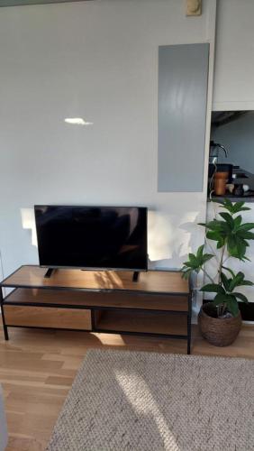 Телевизор и/или развлекательный центр в Antonia s quality apartment 1