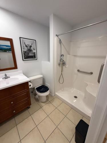 Koupelna v ubytování Charming Apartment downtown Montreal with Parking & Pet-Friendly