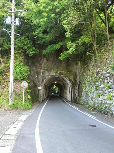 アパートメントの近くで見られる自然の景観